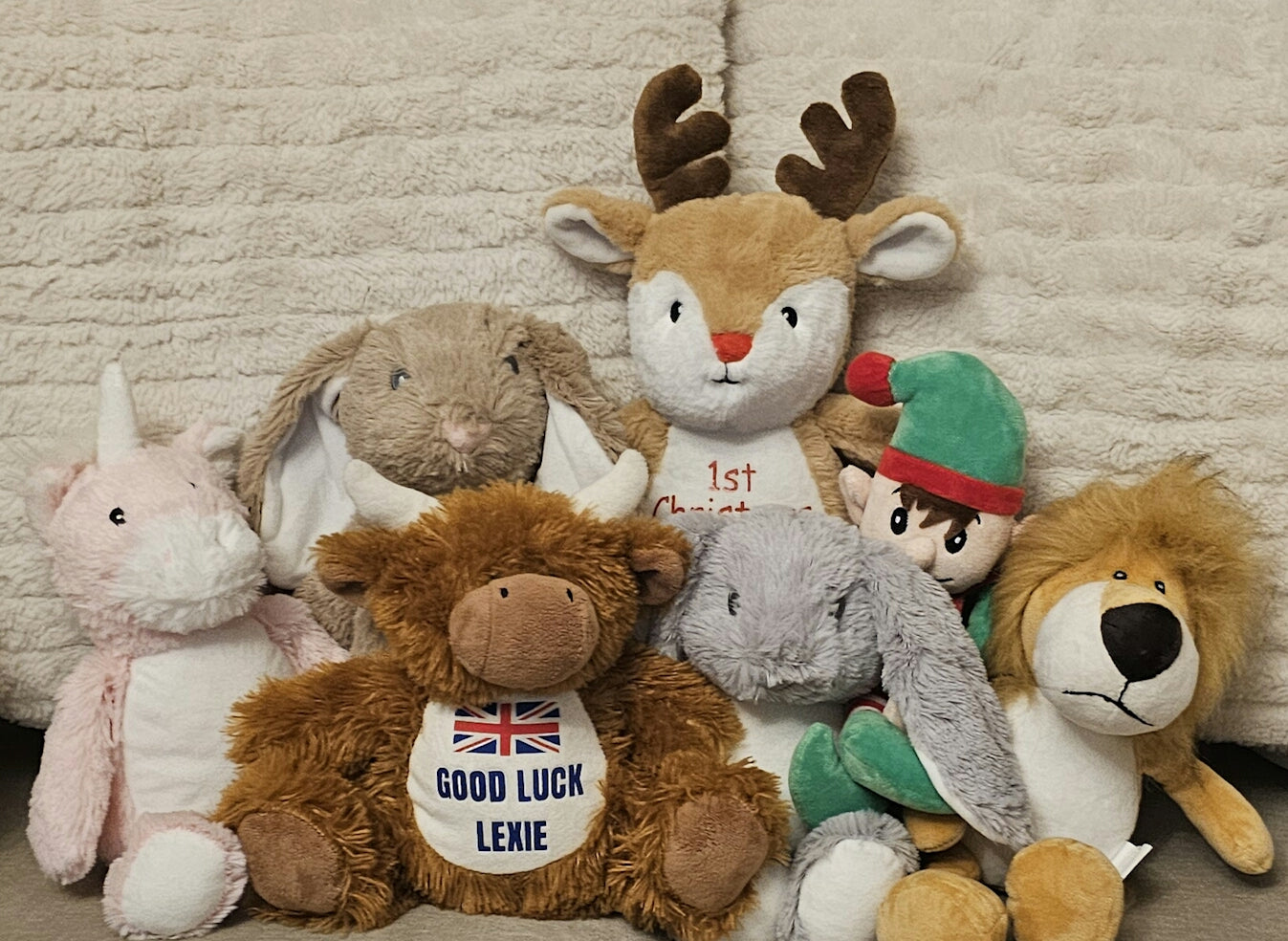 Personalised soft toys