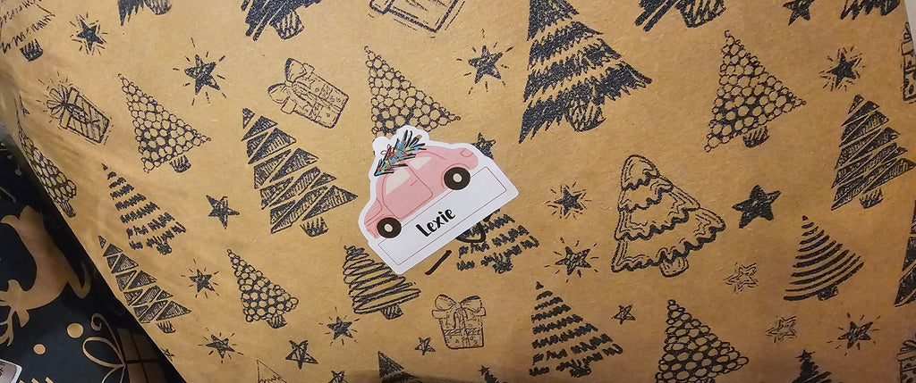 X18 Pink car gift sticker