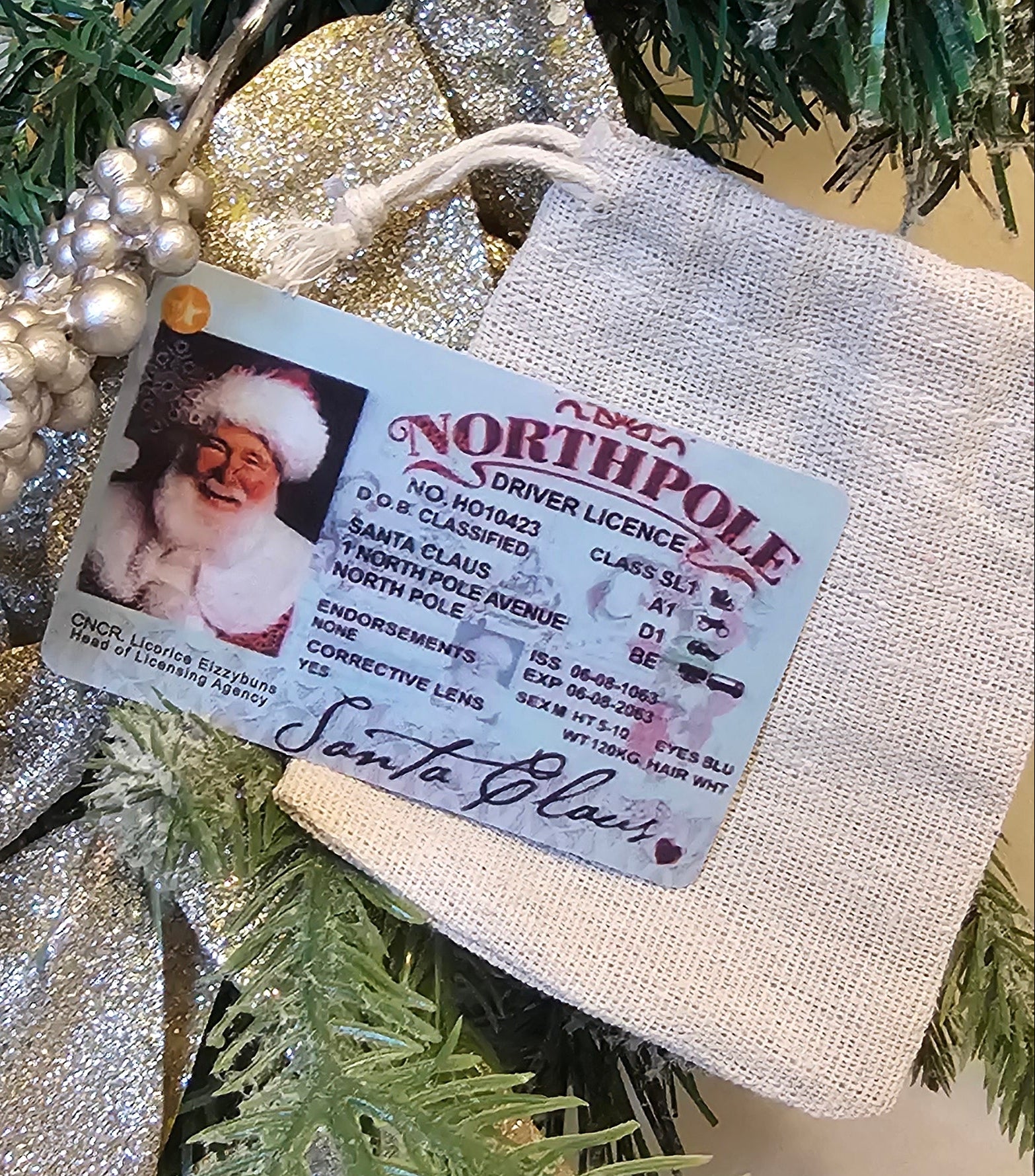 Santa's licence