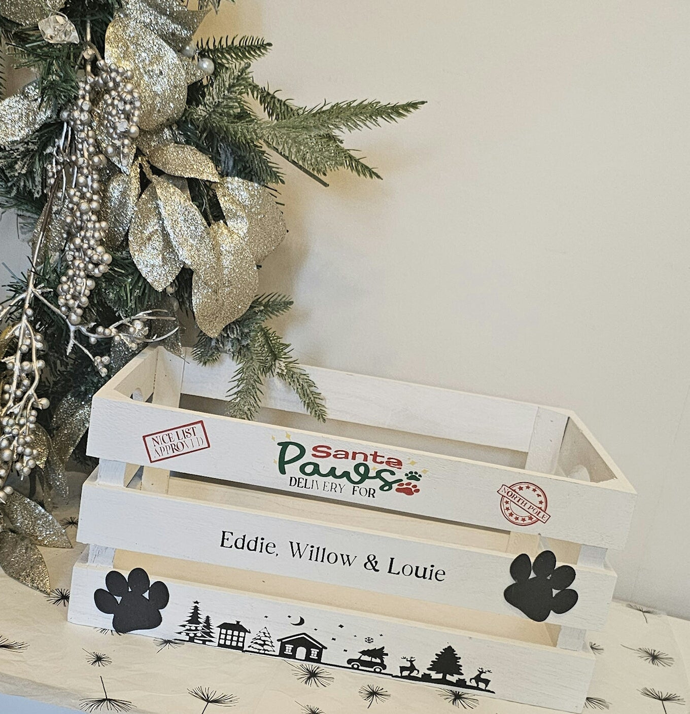 Pets christmas box